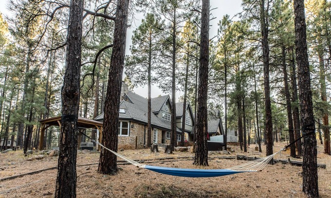 Flagstaff House | Hummingbird Hollow, a Harry Potter themed mountain retreat 10 mins from Snowbowl