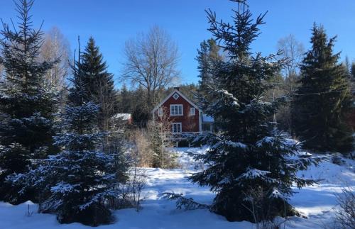 Likenas Ski Chalet | Hytte i Nordlige Varmland ved Branas