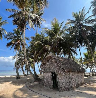 Obarrio Apartment | Iguana Island San Blas