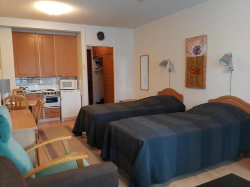 Ikaalinen Apartment | Ikaalisten kylpylä-hotelli
