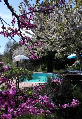 Mengara Apartment | Il Ciliegio del Pellegrino