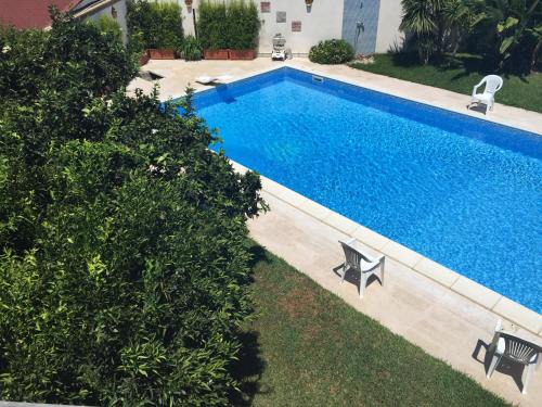 Palmi House | Il Veliero E I Girasoli