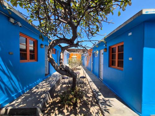 Arica House | Illariy Wasi Hostal