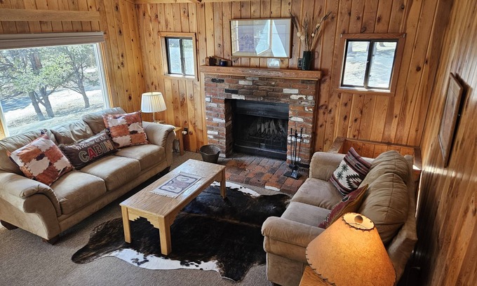 Nathrop Cabin | Iron City Cabin-Cozy Cabin with Hot Spring Fed Pool, Perfect for Families & Pets
