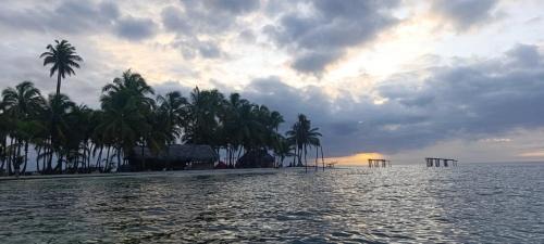 Carti Tupile Other | Isla San Blas Pugsudub