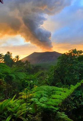 Tanna Island Bed & Breakfast | island paradis bungalowd