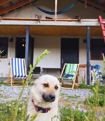 Bagvdanari House | Isle and Flow