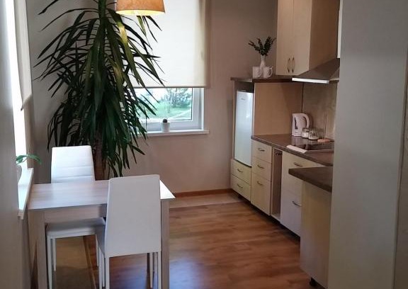 Siauliai City Center Apartment | Jaukus butas Šiaulių miesto centre