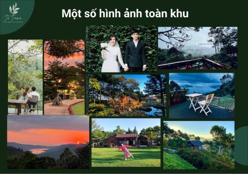 Bao Loc Bed & Breakfast | JE T'AIME VILLA - Khu nghỉ dưỡng nhà vườn nằm giữa thiên nhiên bao la hoa cỏ