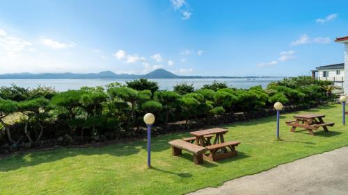 Jeju City House | jeju udo haneuli pension