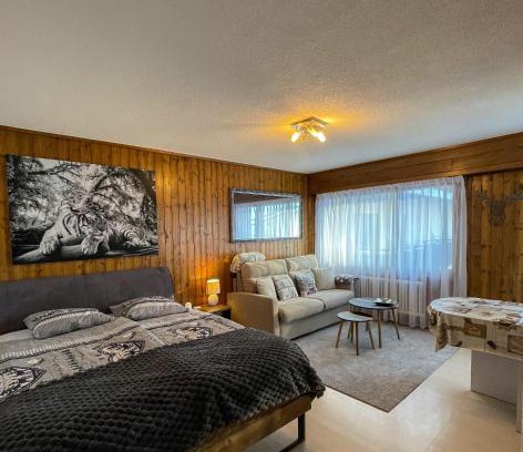 Veysonnaz Apartment | Jolie appart cozy, Ski in Ski out