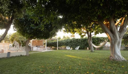 Misiria House | June Home