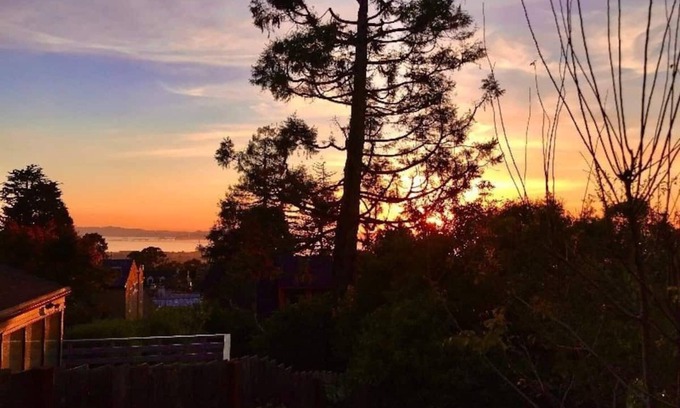 Berkeley Hills Apartment | Just built, sunny, modern, quiet 1 bedrm Apartment
