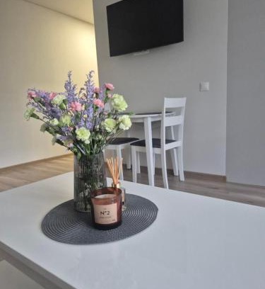 Kaunas Apartment | Kaunas City Apartment