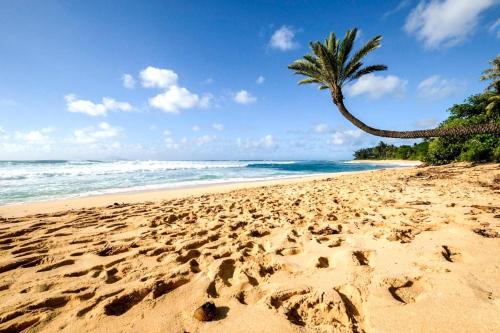 Ko Olina Apartment | KBM Resorts FREE CAR Beach Villas at Ko Olina BVK-B-308 Beachfront Villa