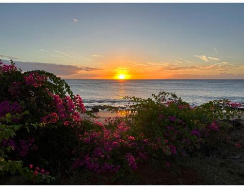 Maunaloa Apartment | Kepuhi Sunset Ocean View - Ground Floor Unit by Wrinkly Sheets, LLC
