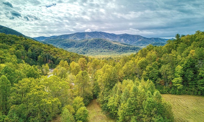 Cosby Cottage | Kerri's Cottage, Pickleball Court, Creek, WIFI, Mountain Views, No Cleaning Fee
