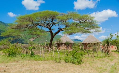 Longido Hotel | Kili View Maasai Lodge