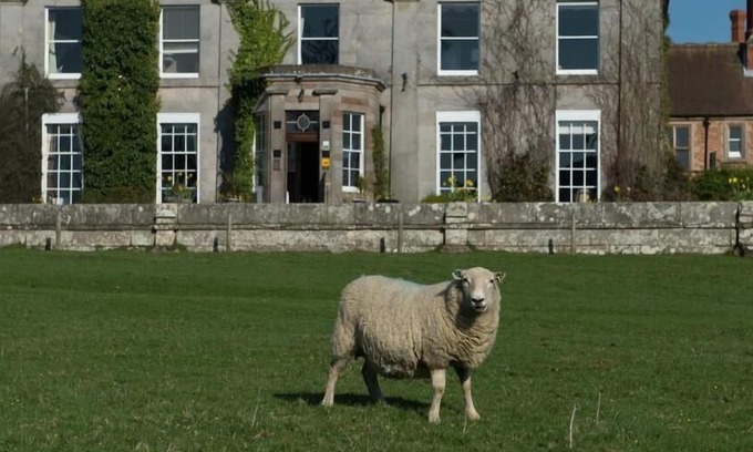 Longford House | King-Premium-Ensuite with Shower-Room 9