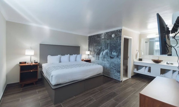 Ocala Hotel | King Suite at Equus Inn, Pet-friendly, Free Parking and Breakfast