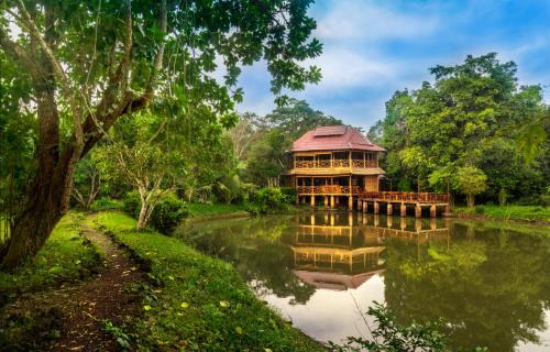 Pathouphone Resort | Kingfisher Ecolodge
