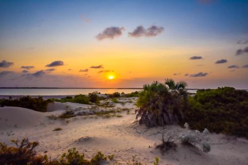 Lamu Hotel | Kizingo Beach Eco Lodge