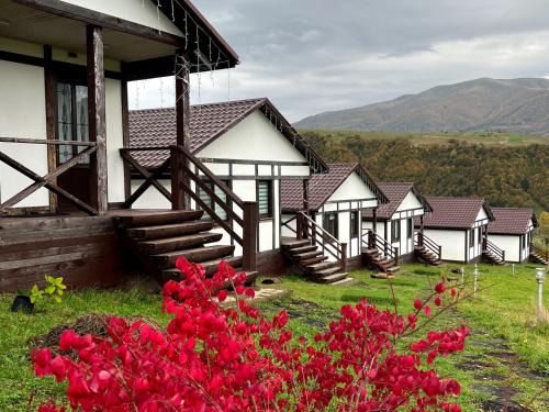 Soymy Hotel | Kolochava Eco Resort