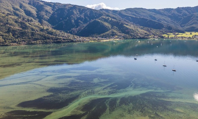 Linkwater House | Koraha - Queen Charlotte Sound Holiday Home