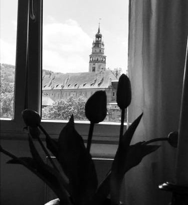 Cesky Krumlov Apartment | Krumlove