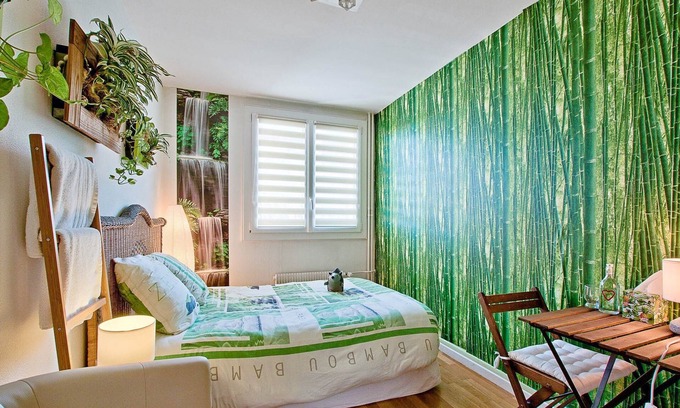 Les Poulettes Apartment | “La Bambou”: rejuvenating and plant-based! Air conditioning and free/secure parking!