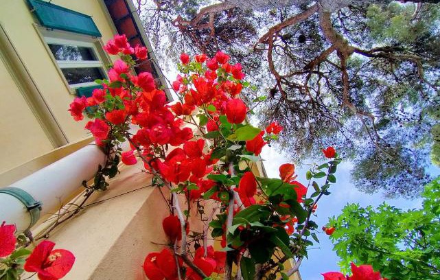 Castiglioncello Apartment | La Casa Bianca di fronte al mare