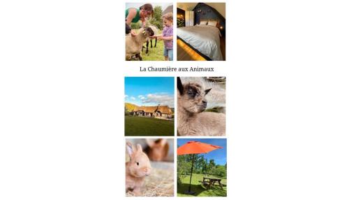 Touffreville-la-Corbeline House | La Chaumière aux Animaux