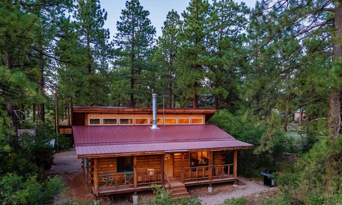 Mancos Cabin | La Plata Mountains Cabin - Nestled in the Pines - Mesa Verde