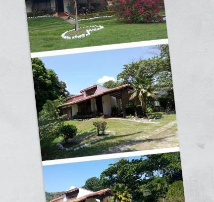Honda House | La quinta de lucia