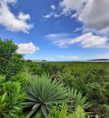 Nosy Be House | La Table d Alexandre Gîte de charme entre mangrove et mer