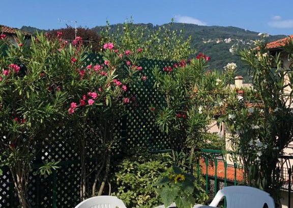 Stresa Apartment | La Terrazza degli Oleandri