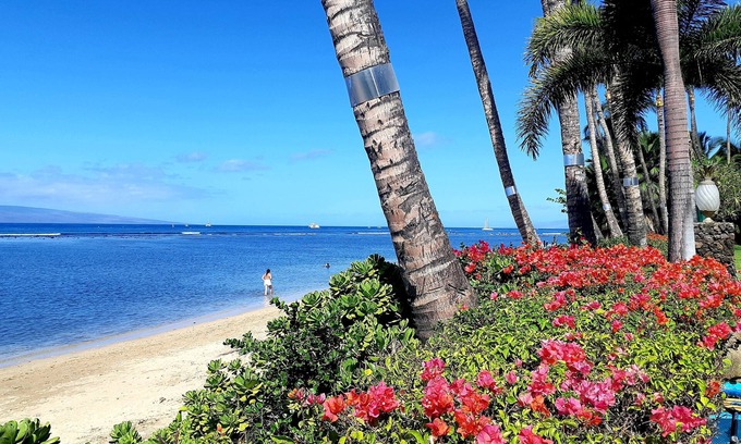 Historic Lahaina Front Street Apartment | Lahaina Shores 406 Beach Front Mountain View