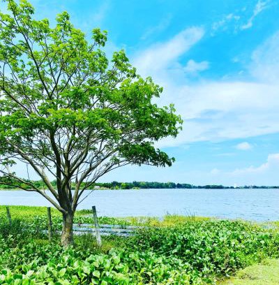 Yodakandiya Bed & Breakfast | Lake View Cottage