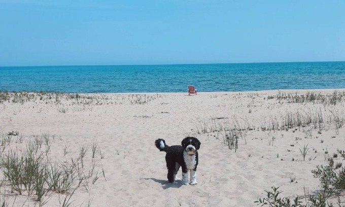 East Tawas House | Lakefront Retreat: Escape to a SANDY Pet Friendly private Lake Huron Beach!
