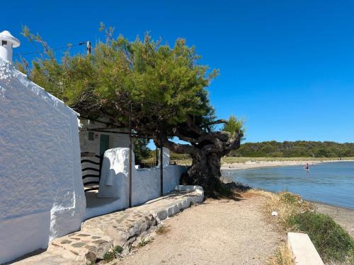 Es Grau Apartment | Lamorino una casa en la playa