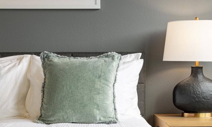 Paw Creek Apartment | Landing at Highland Park at Northlake - 1 Bedroom in Wedgewood