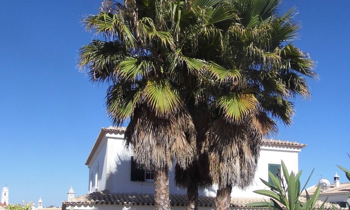 Monte Raposo Villa | Large Luxurious Villa With Two Private Pools And Free Wi-Fi.