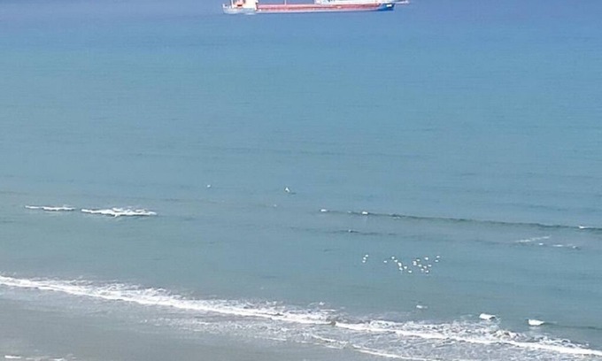 Larnaca City Centre Apartment | Larnaca Seaview Rooms #1