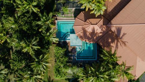 Palo Grande Resort | Las Olas Beach Resort