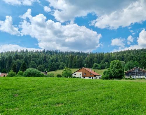 Val-de-Travers House | LaTerestone