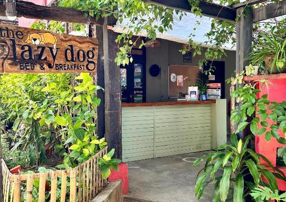 Boracay Island Resort | Lazy Dog Bed & Breakfast