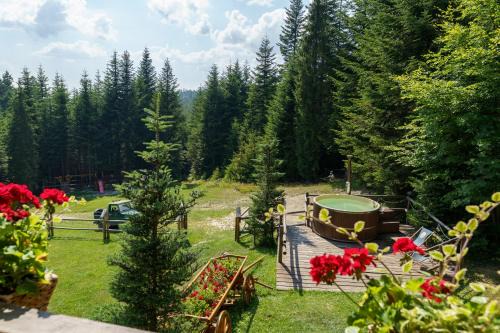 Nowy Targ Ski Chalet | Leśna Bacówka