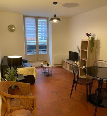 Orleans Apartment | Le Charmant T2, Hycentre