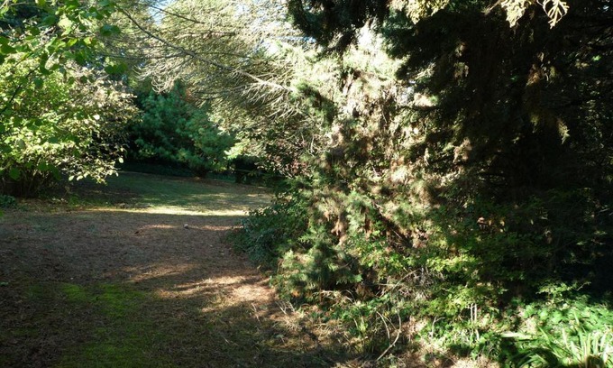 La Roche-Clermault Bed & Breakfast | Le Logis du Peu Girard