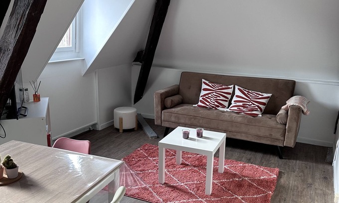 Auxerre Apartment | Le Saint Eusèbe